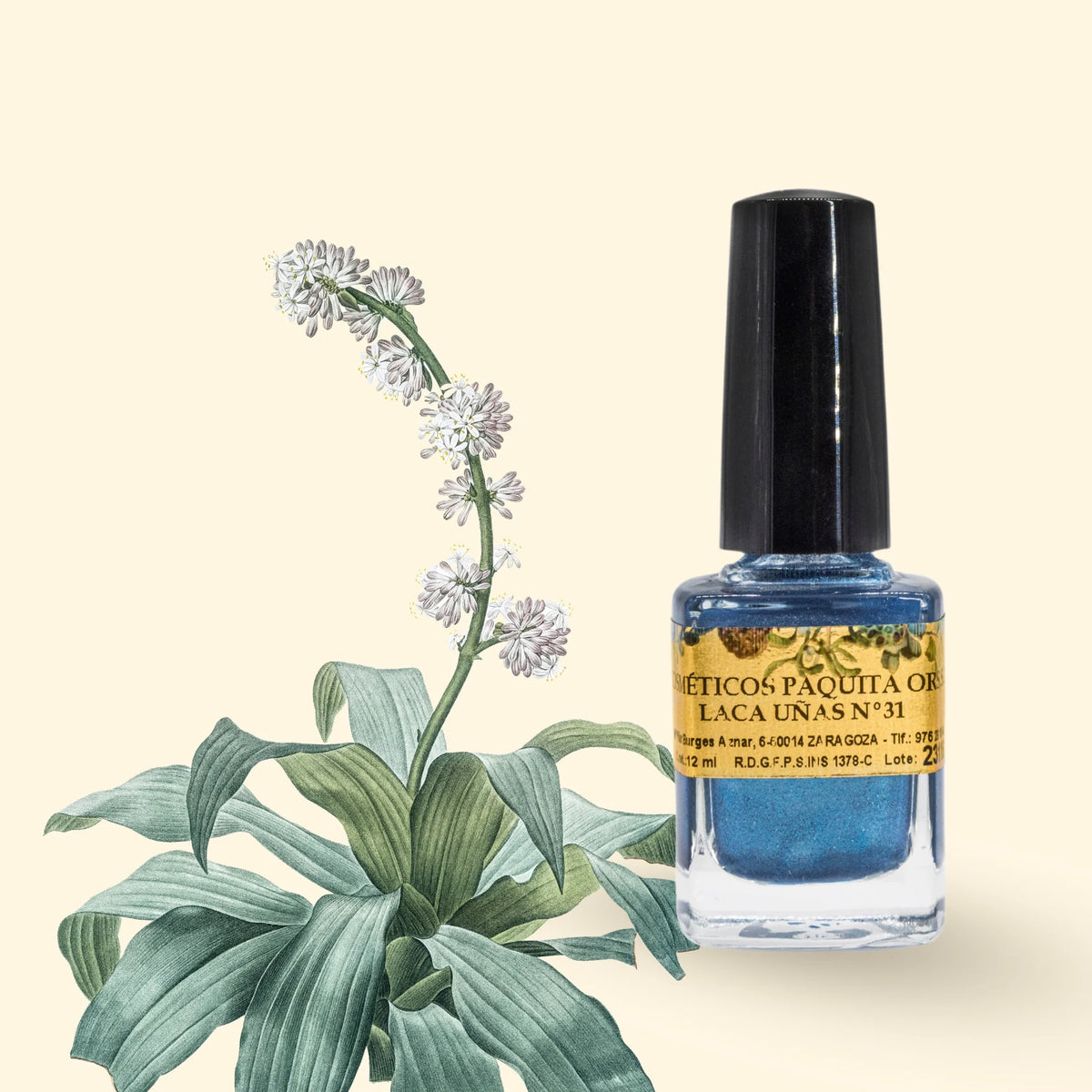 LACA DE UÑAS Nº31