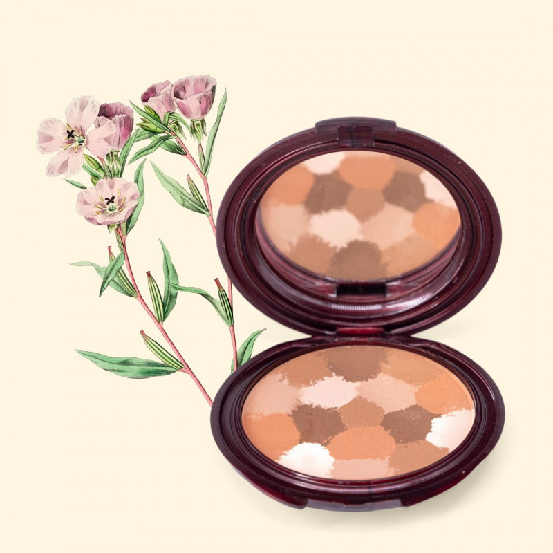 METEORITOS COMPACTOS