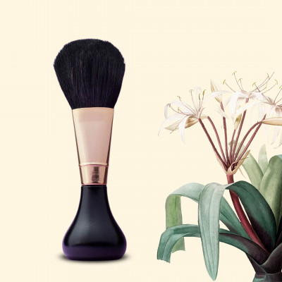 BROCHA COLORETE PEANA