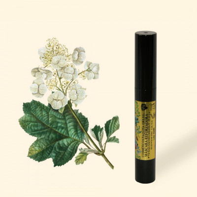 MÁSCARA DE PESTAÑAS NEGRA