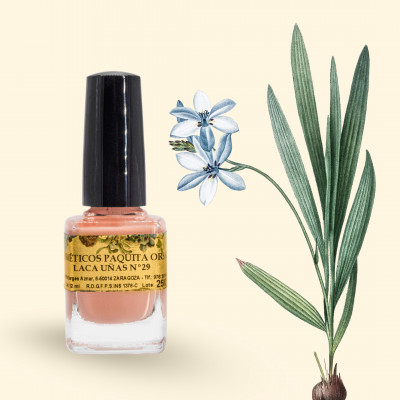 LACA DE UÑAS Nº29