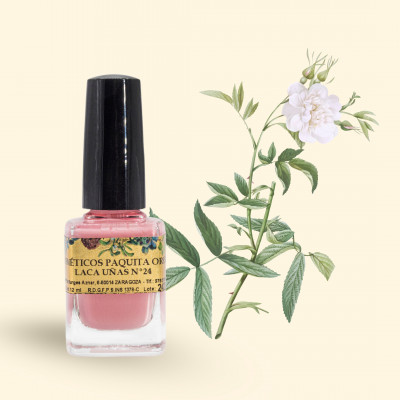 LACA DE UÑAS Nº24