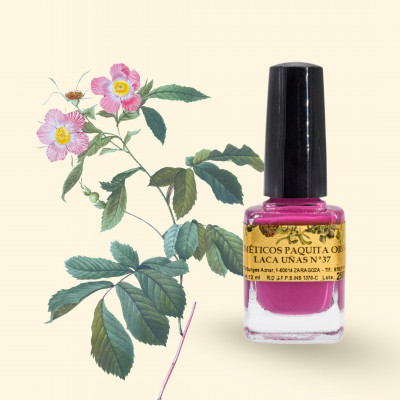 LACA DE UÑAS Nº37