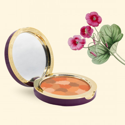 METEORITOS COMPACTOS