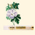 CREMA CONTORNO DE OJOS BIO-LIFTING 15ml