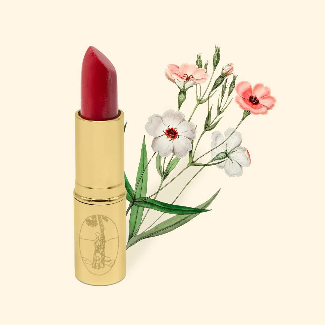 BARRA DE LABIOS Nº12