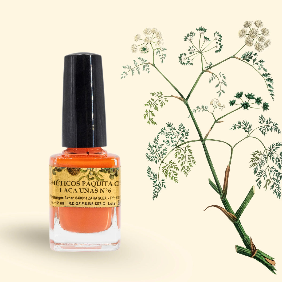 LACA DE UÑAS Nº6