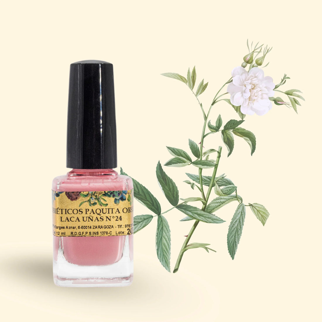 LACA DE UÑAS Nº24