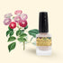 LACA DE UÑAS Nº16