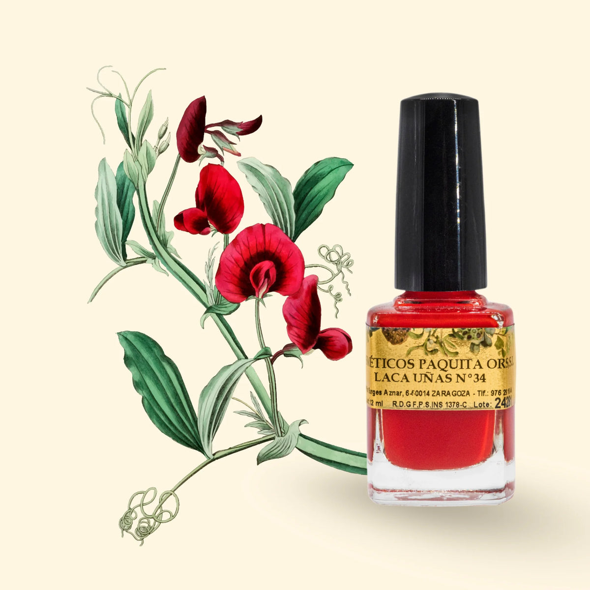 LACA DE UÑAS Nº34