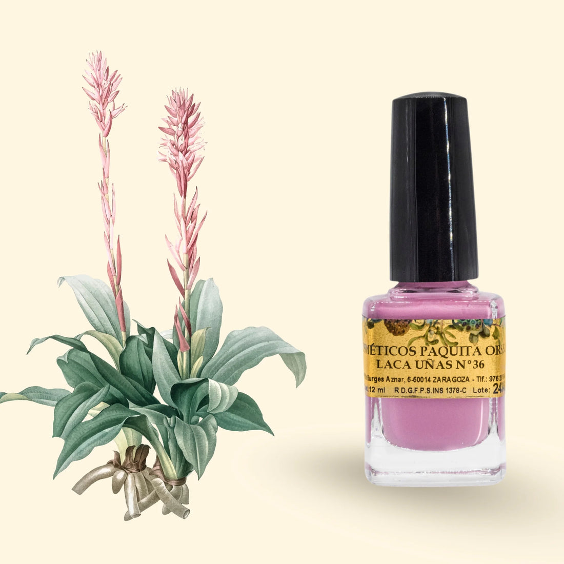 LACA DE UÑAS Nº36