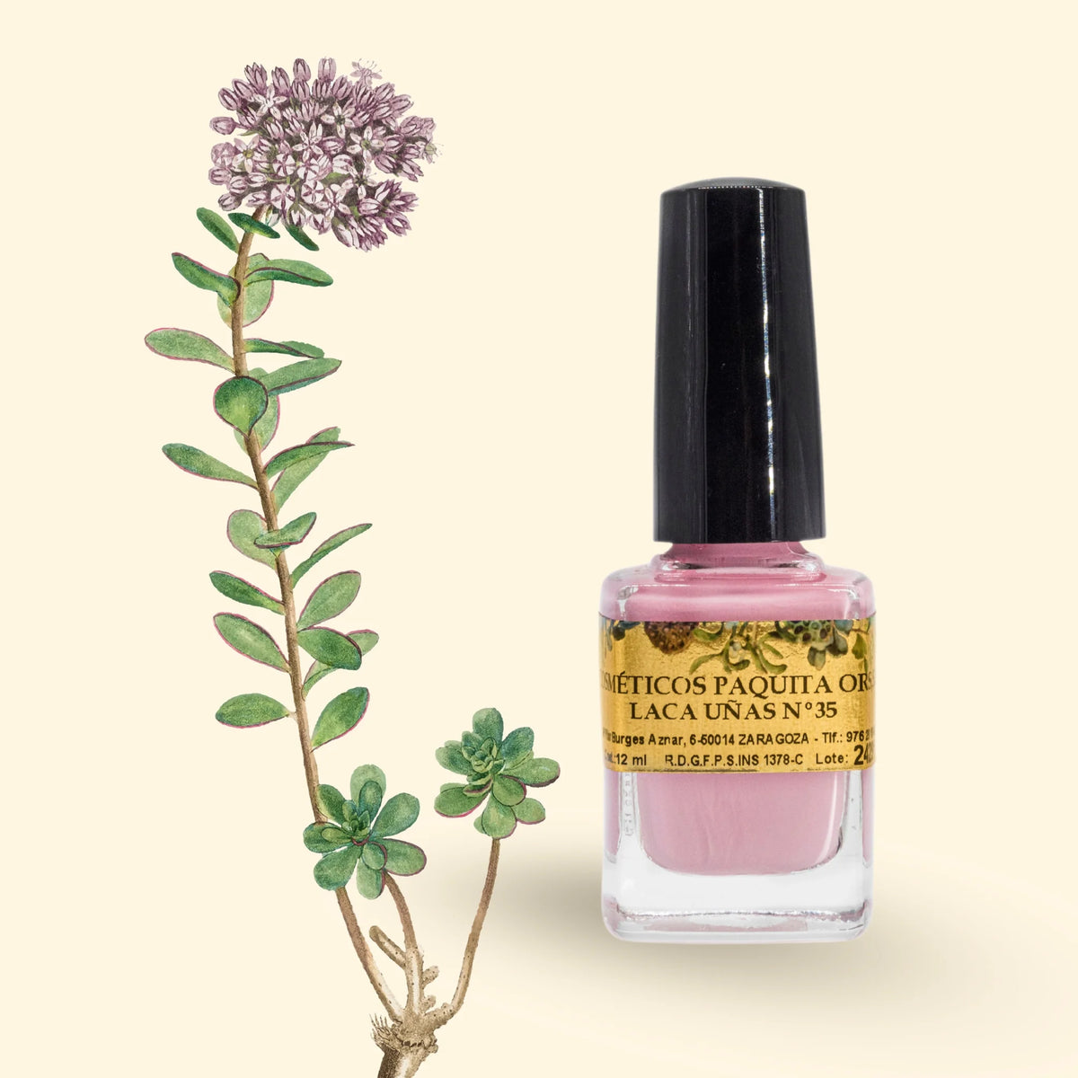 LACA DE UÑAS Nº35