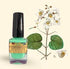 LACA DE UÑAS Nº4